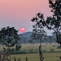 ମମତା ବେବର୍ତ୍ତା ପଟ୍ଟନାୟକ